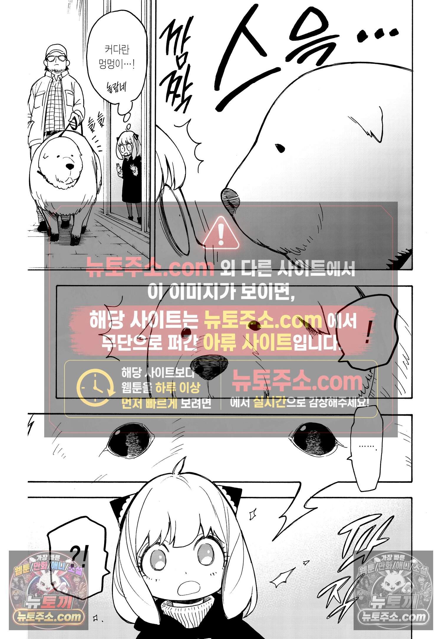 스파이 패밀리 MISSION : 18 22