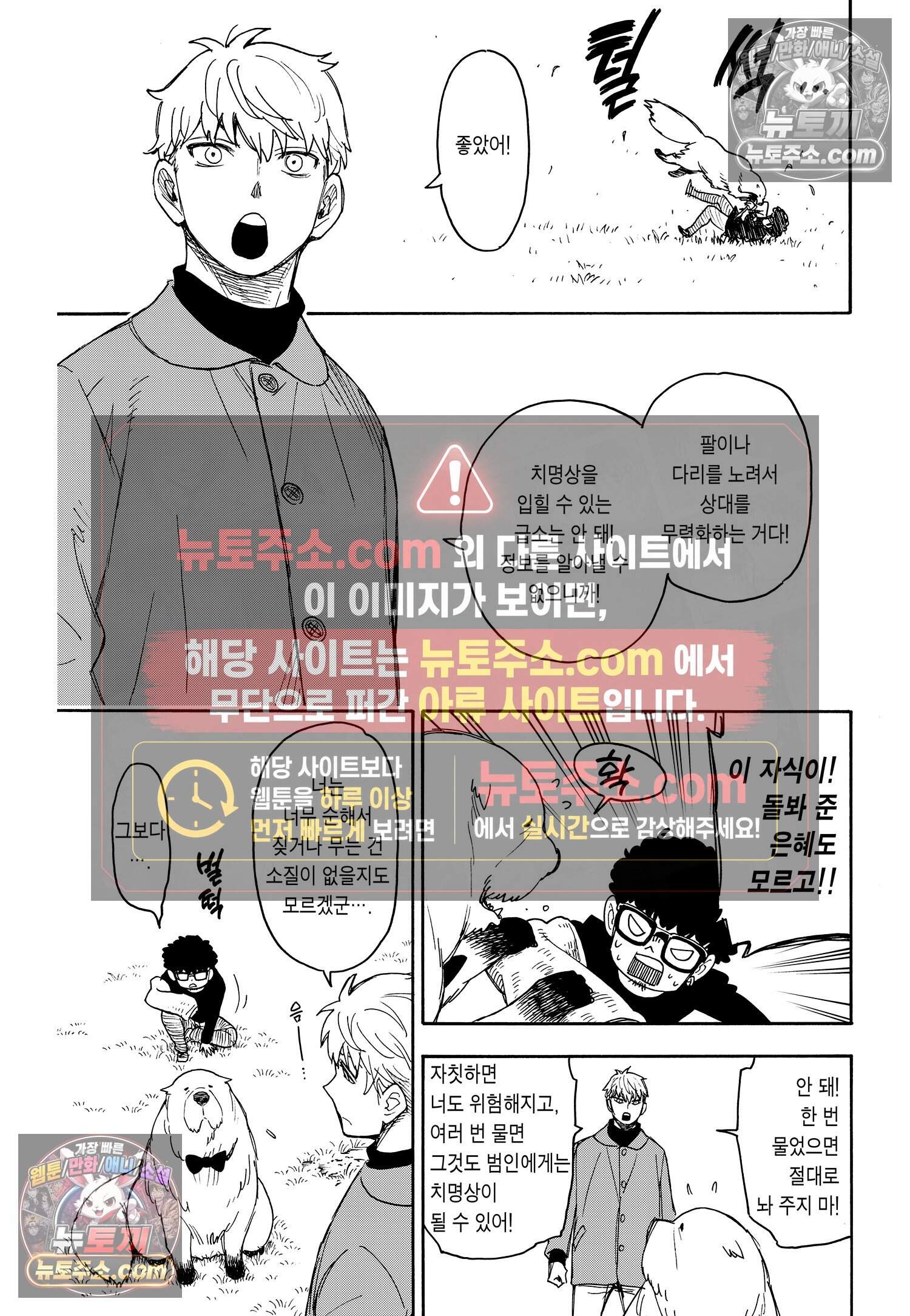 스파이 패밀리 MISSION : 58-1 4