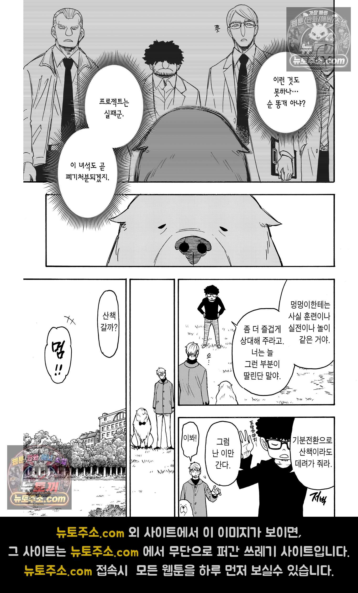 스파이 패밀리 MISSION : 58-1 6
