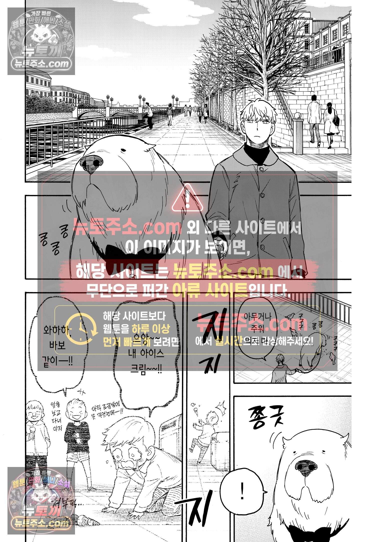 스파이 패밀리 MISSION : 58-1 7