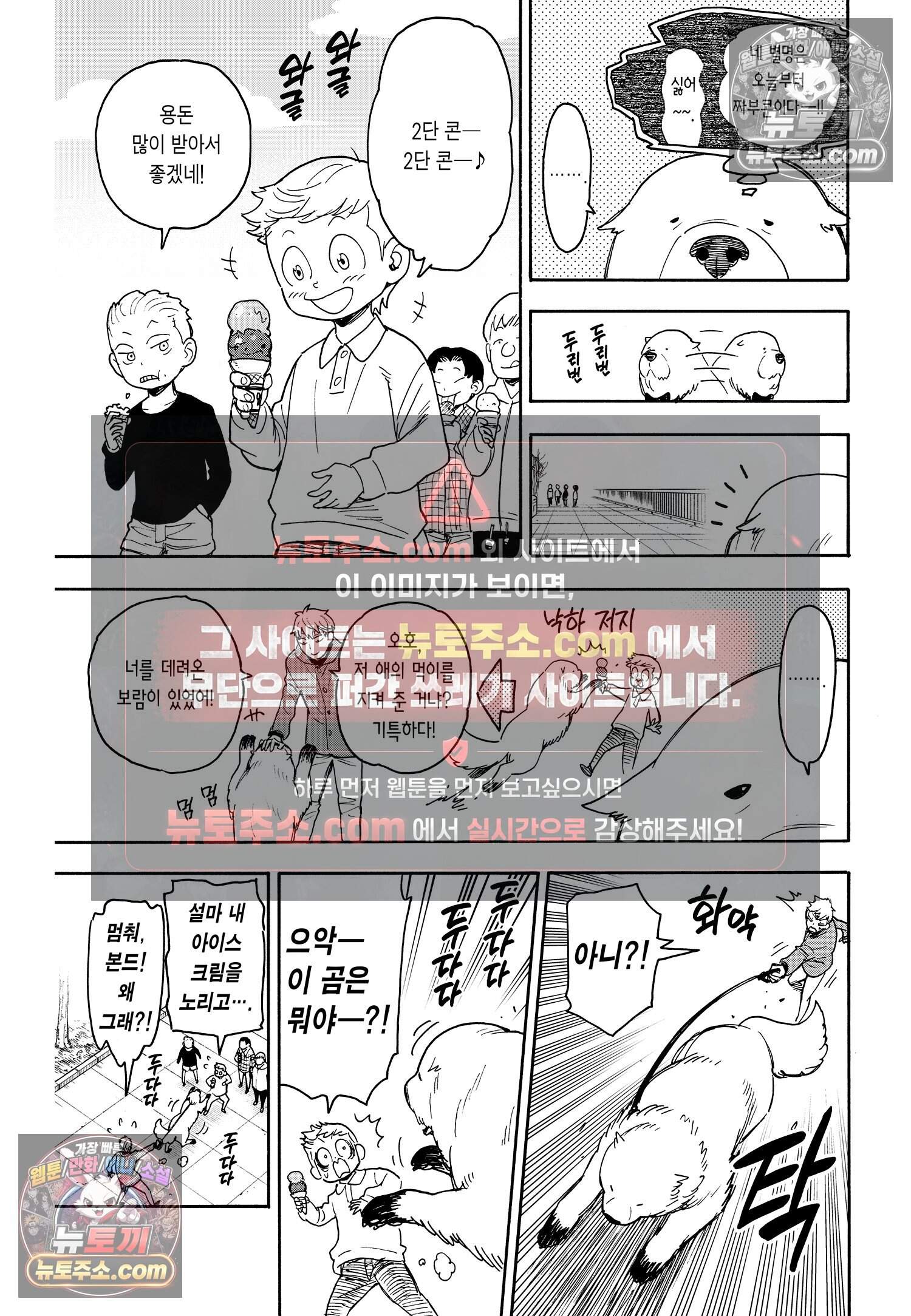스파이 패밀리 MISSION : 58-1 8