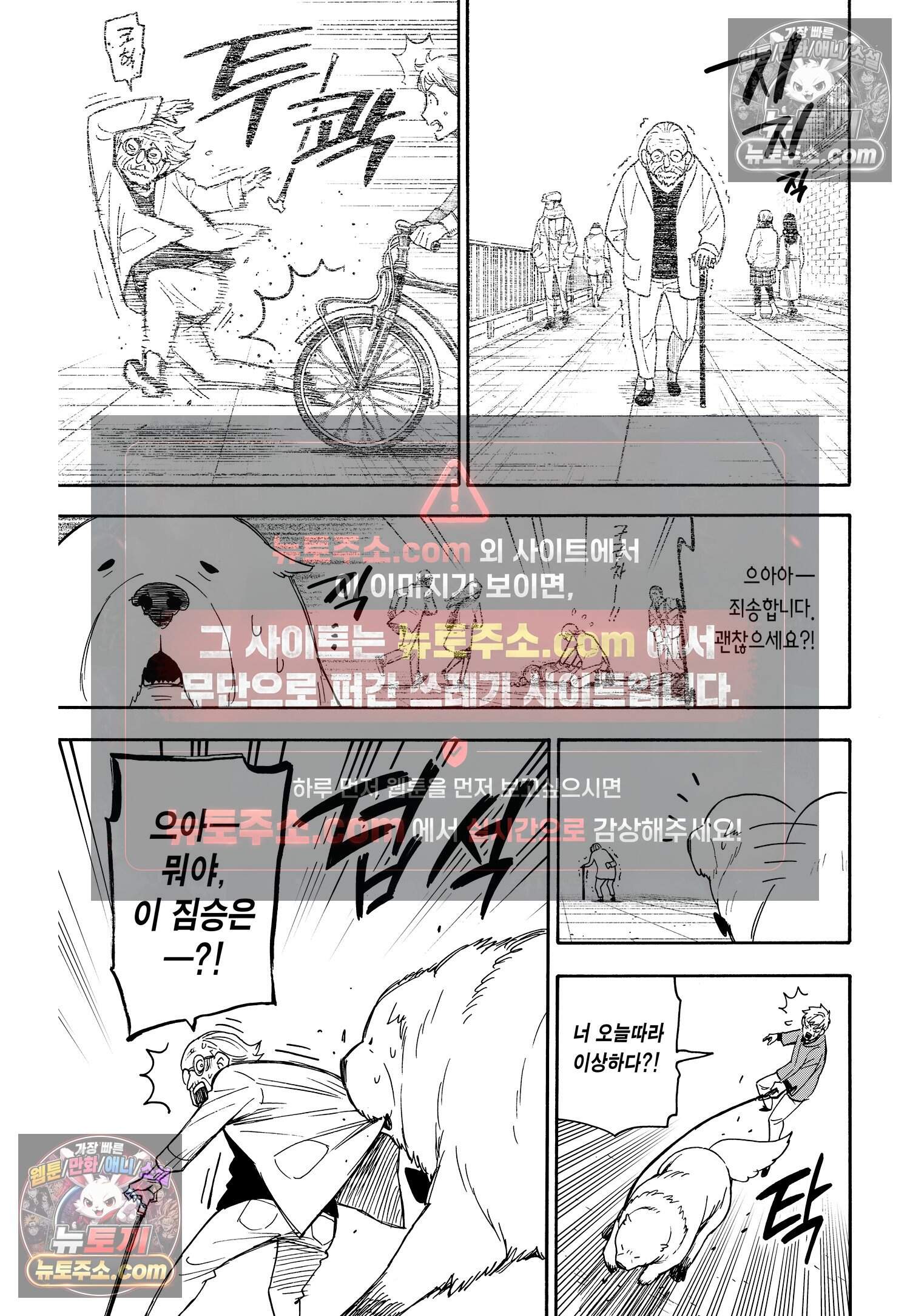 스파이 패밀리 MISSION : 58-1 10