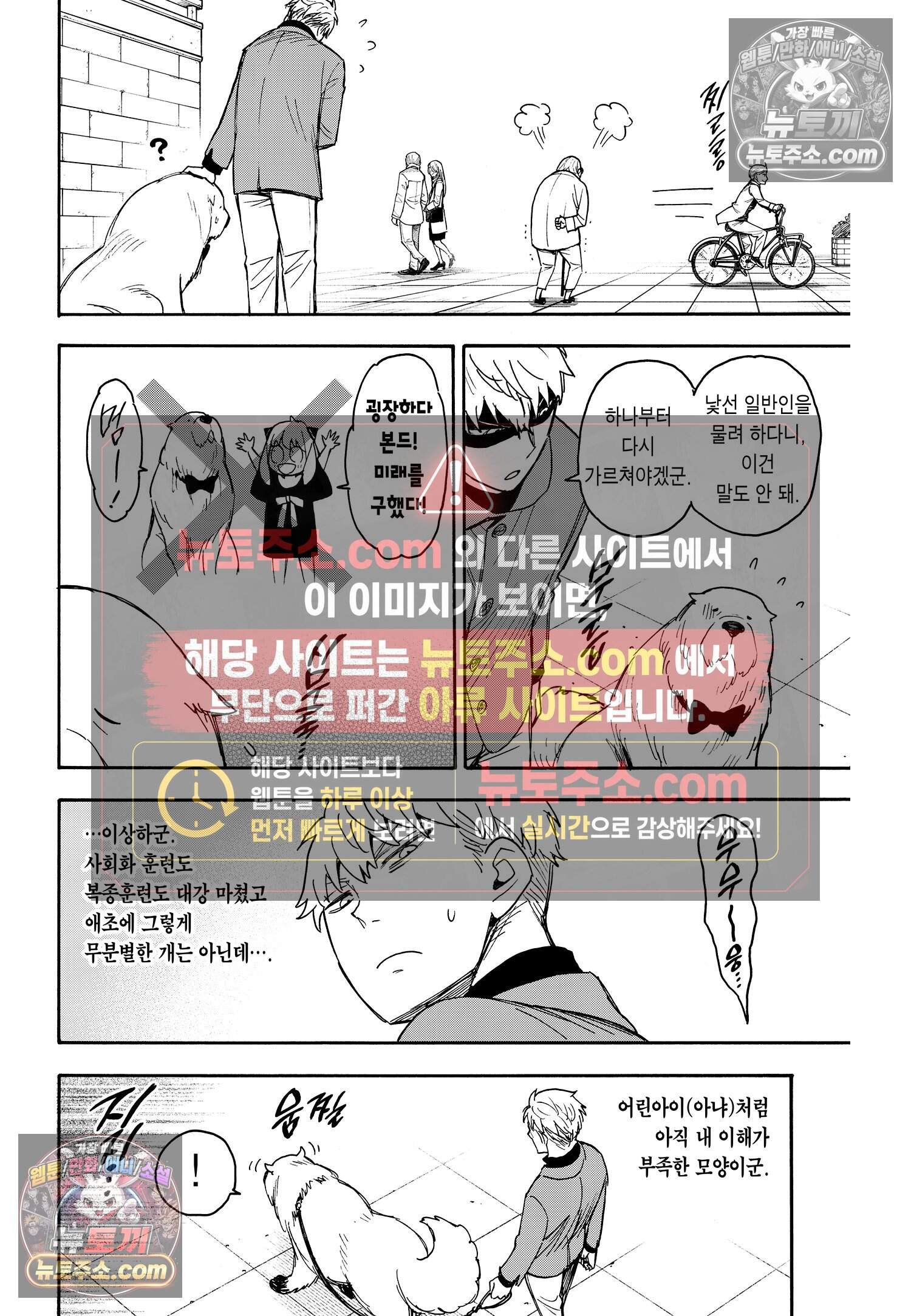 스파이 패밀리 MISSION : 58-1 11