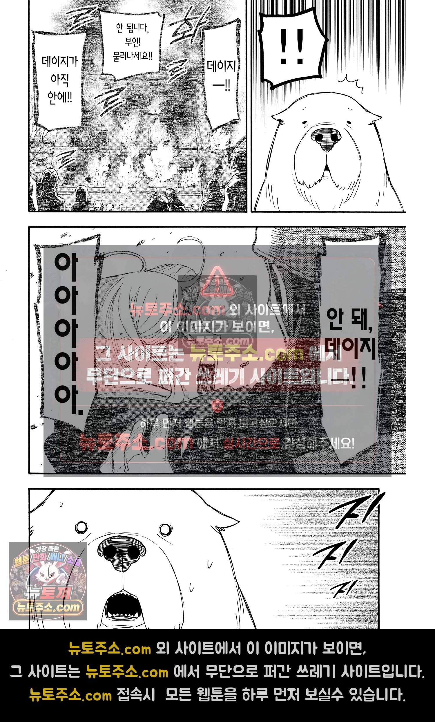 스파이 패밀리 MISSION : 58-1 13