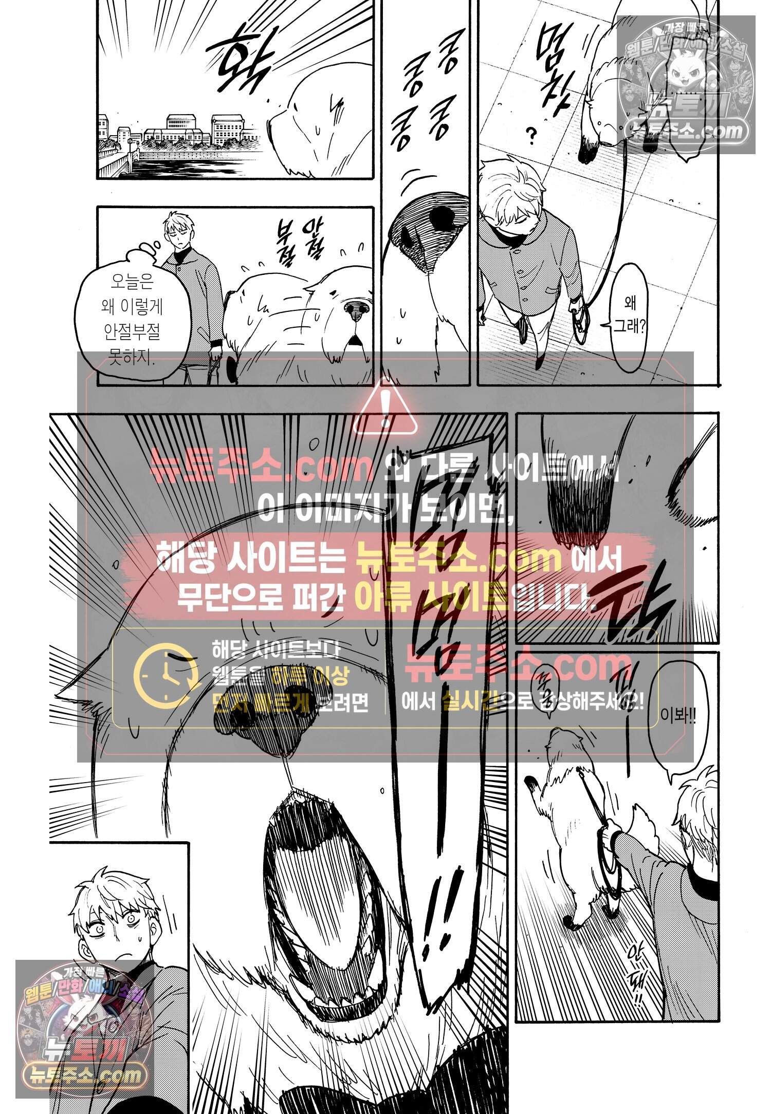 스파이 패밀리 MISSION : 58-1 14