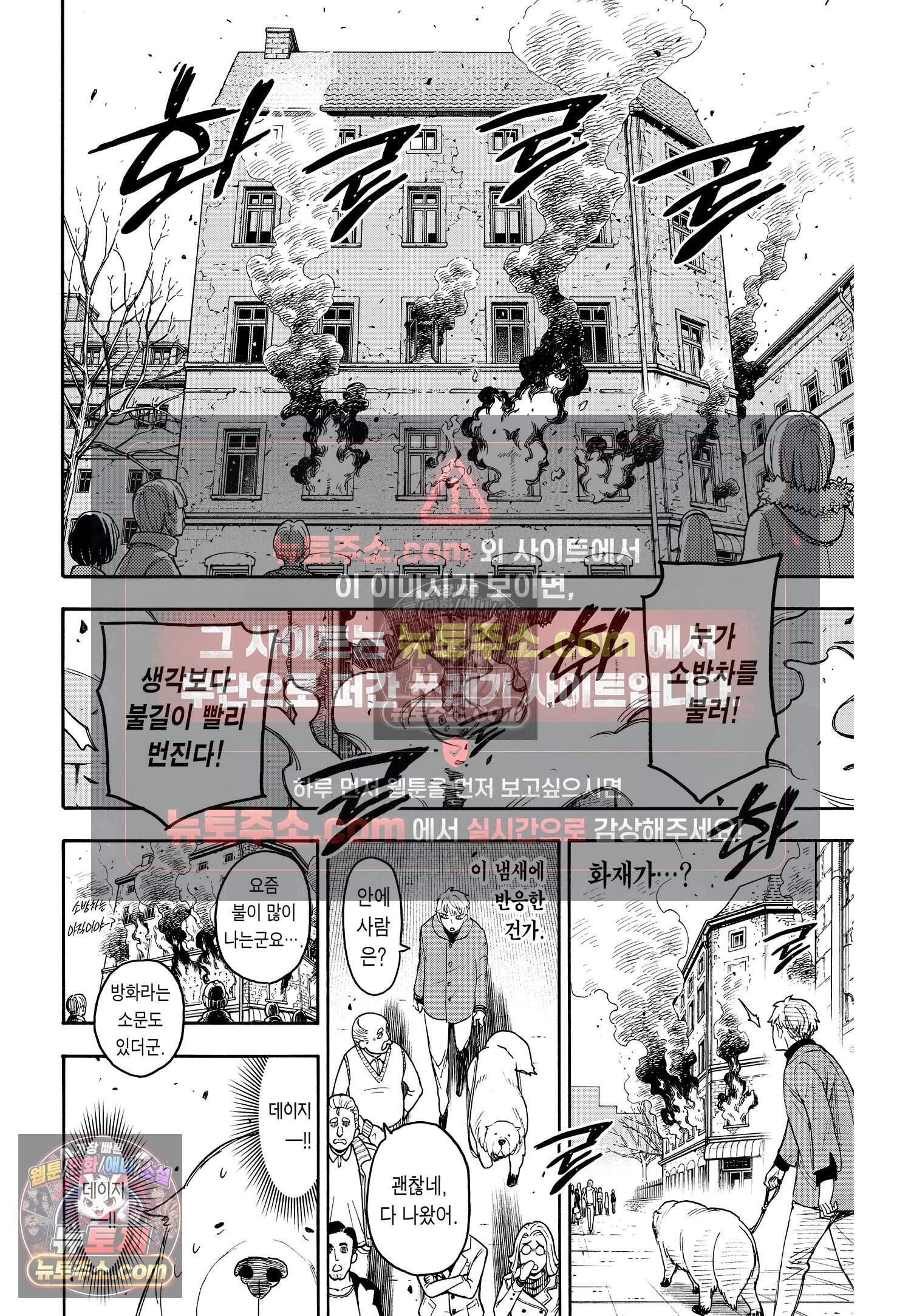 스파이 패밀리 MISSION : 58-1 15