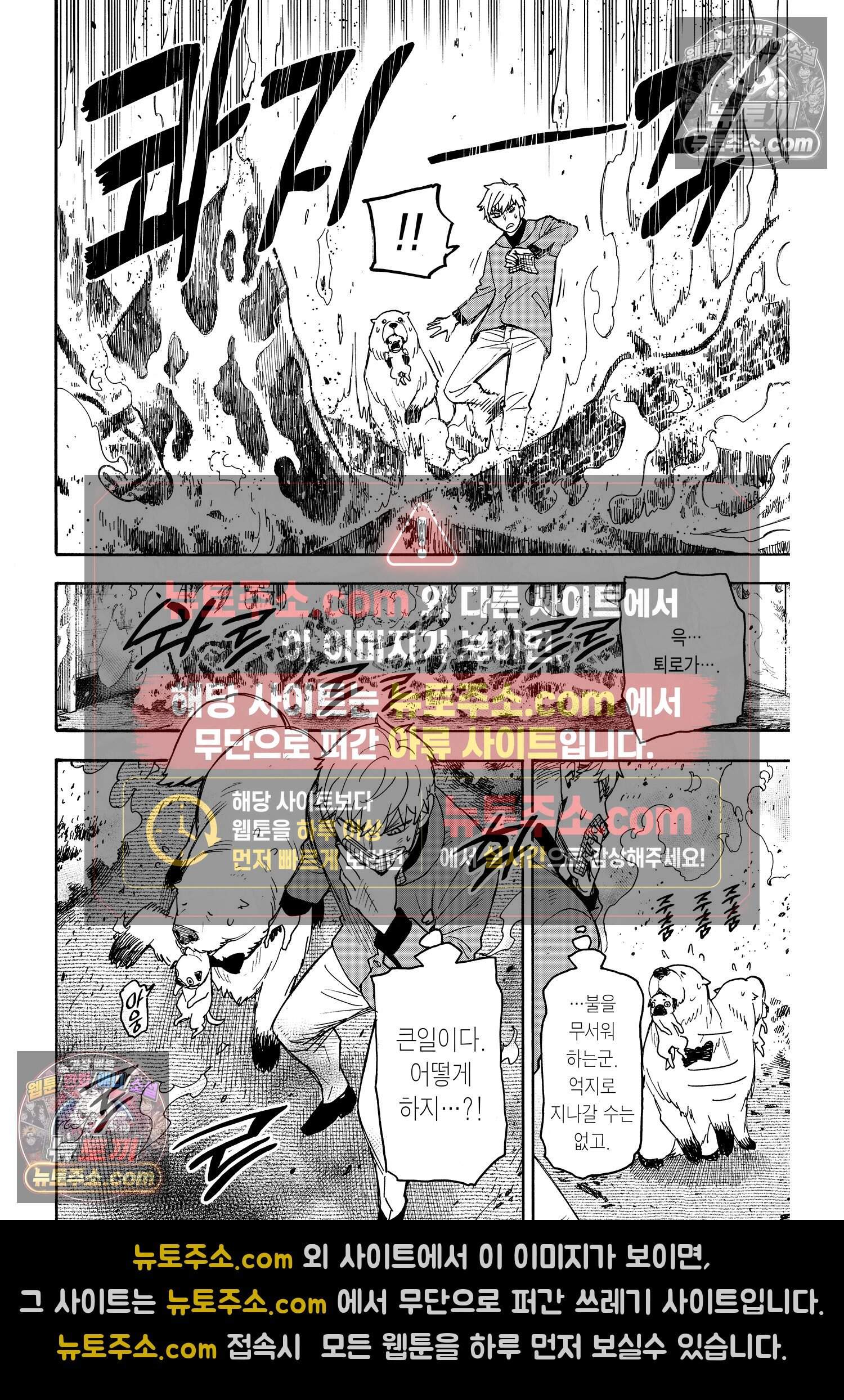 스파이 패밀리 MISSION : 58-1 19