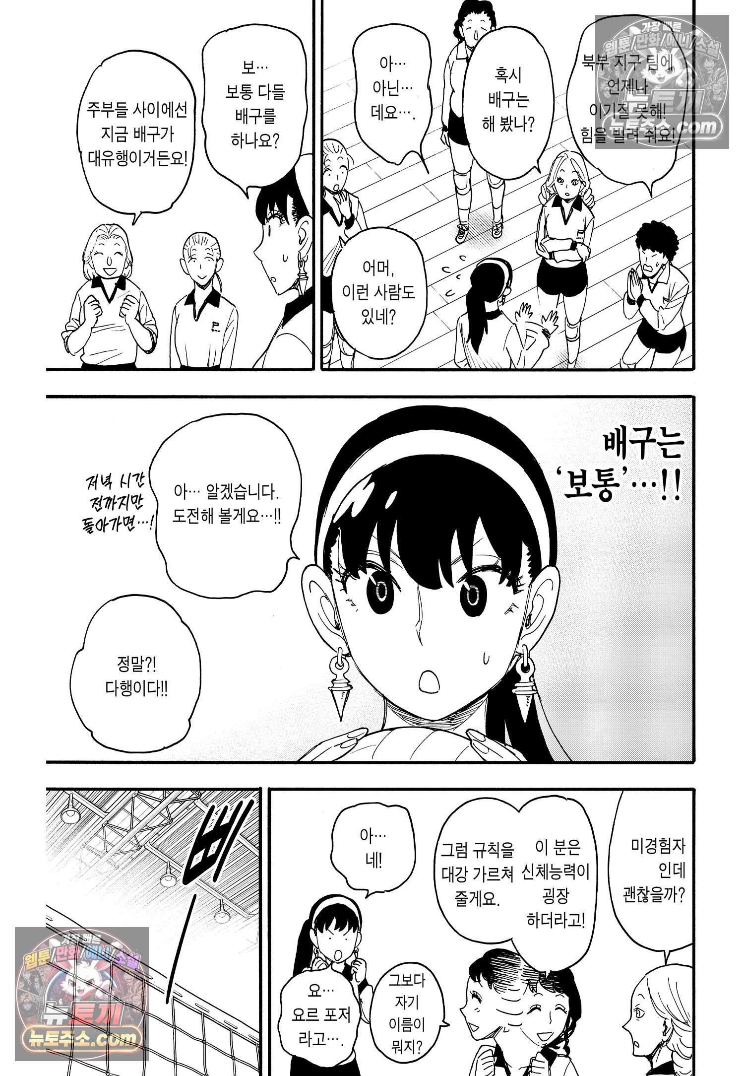스파이 패밀리 MISSION : 65 14