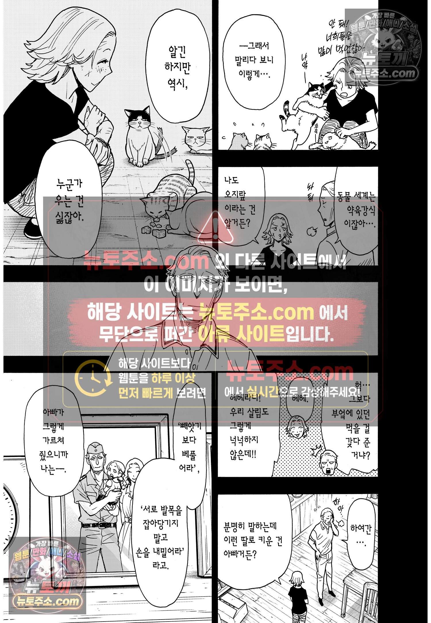 스파이 패밀리 MISSION : 74 14