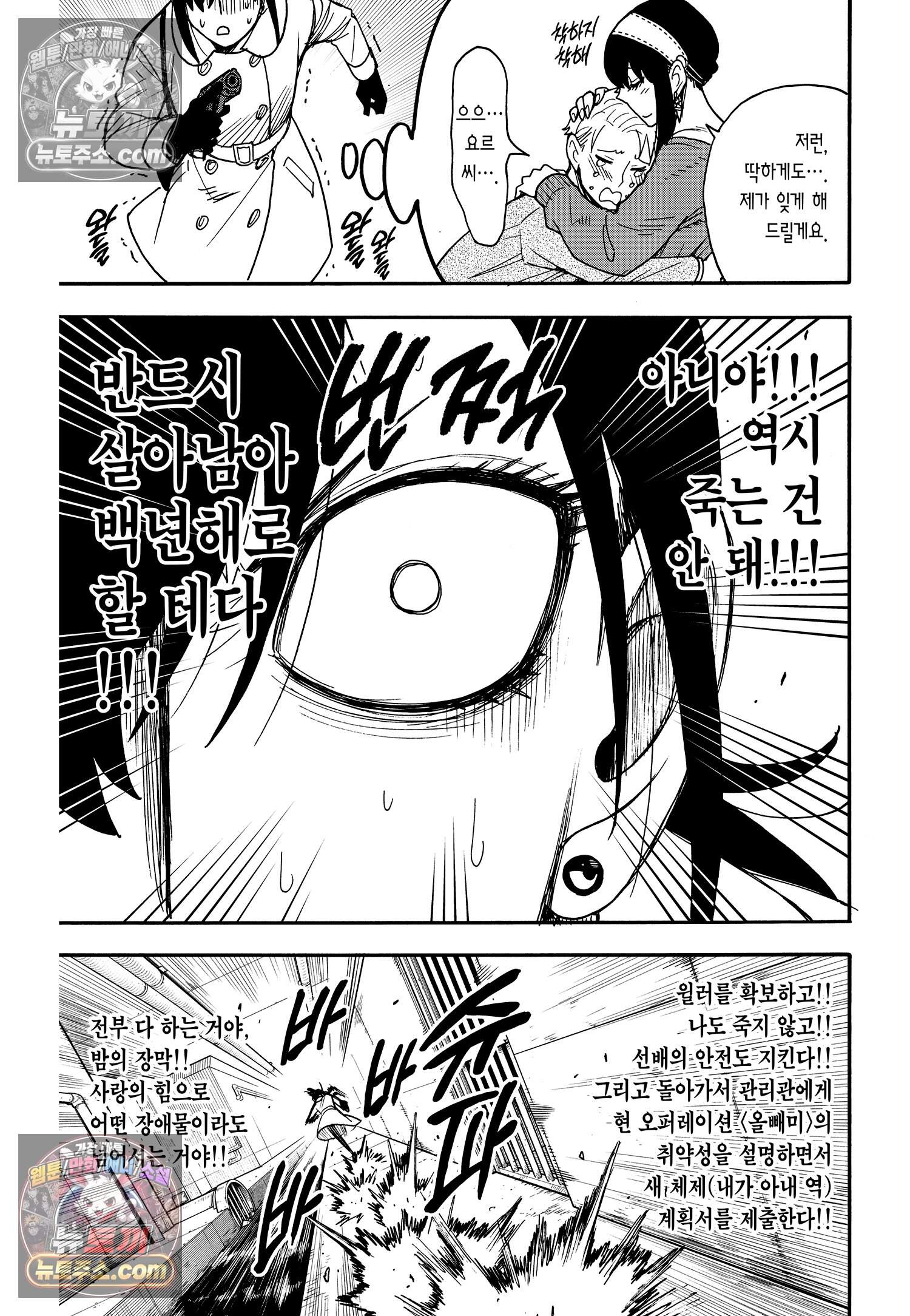 스파이 패밀리 MISSION : 84 10