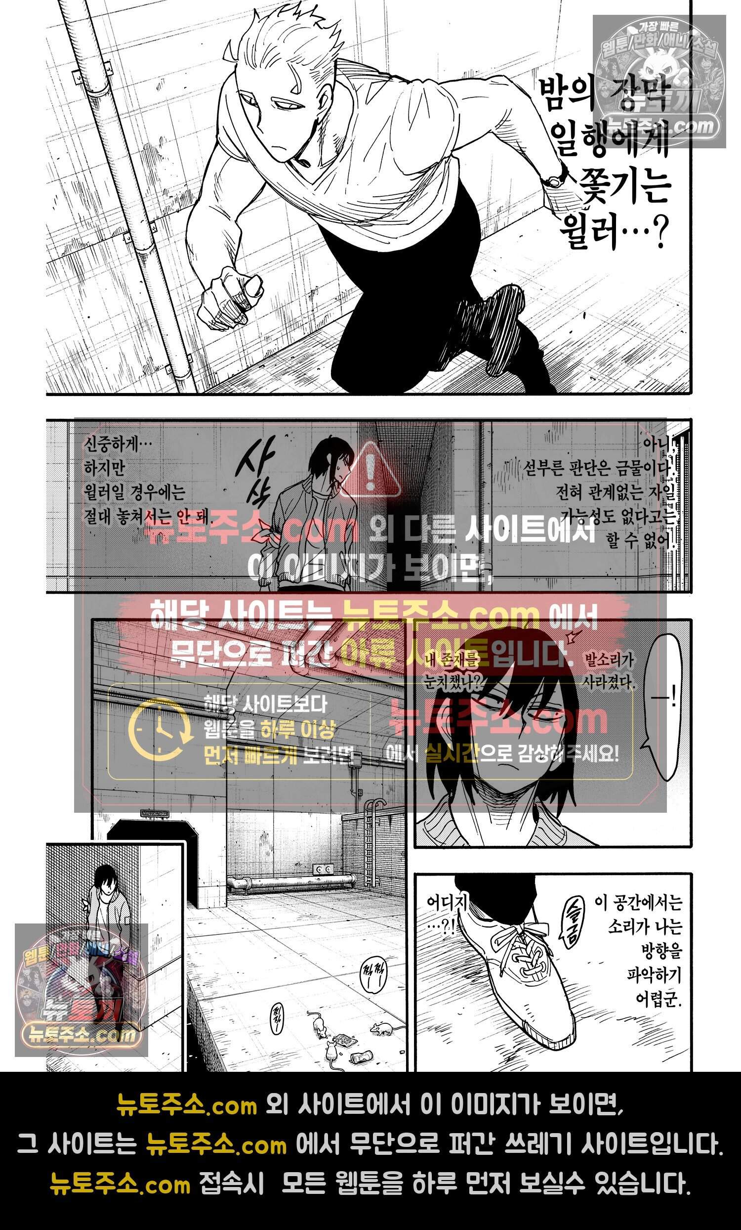 스파이 패밀리 MISSION : 84 12