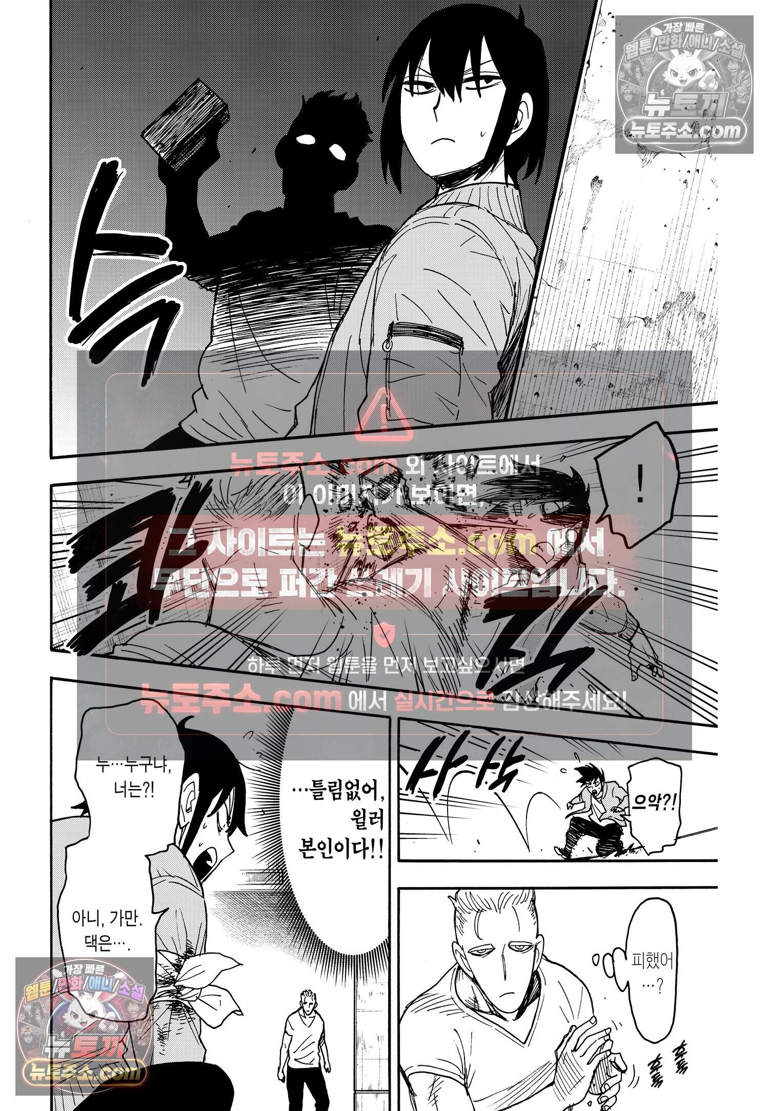 스파이 패밀리 MISSION : 84 13