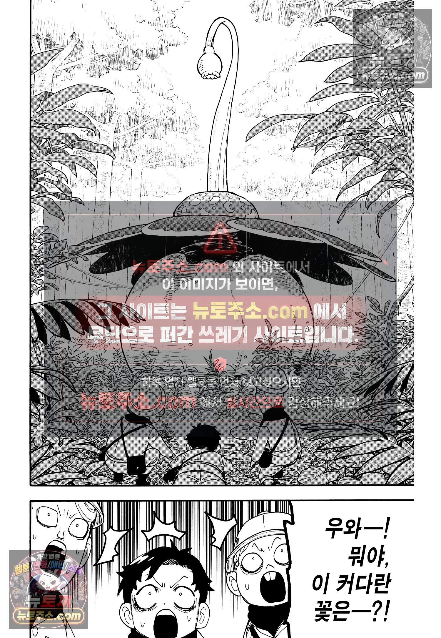 스파이 패밀리 MISSION : 104 13