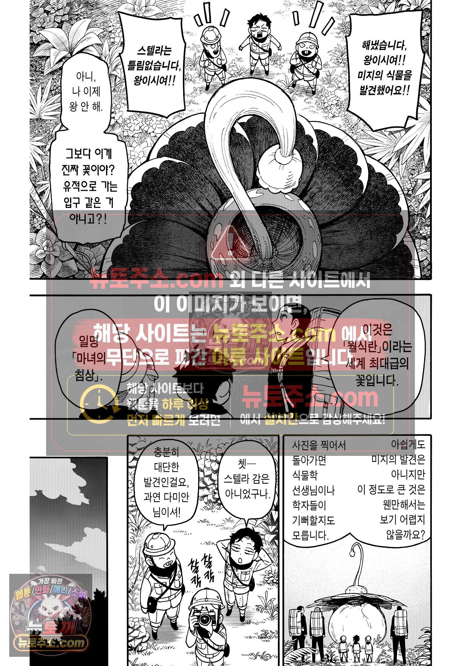 스파이 패밀리 MISSION : 104 14