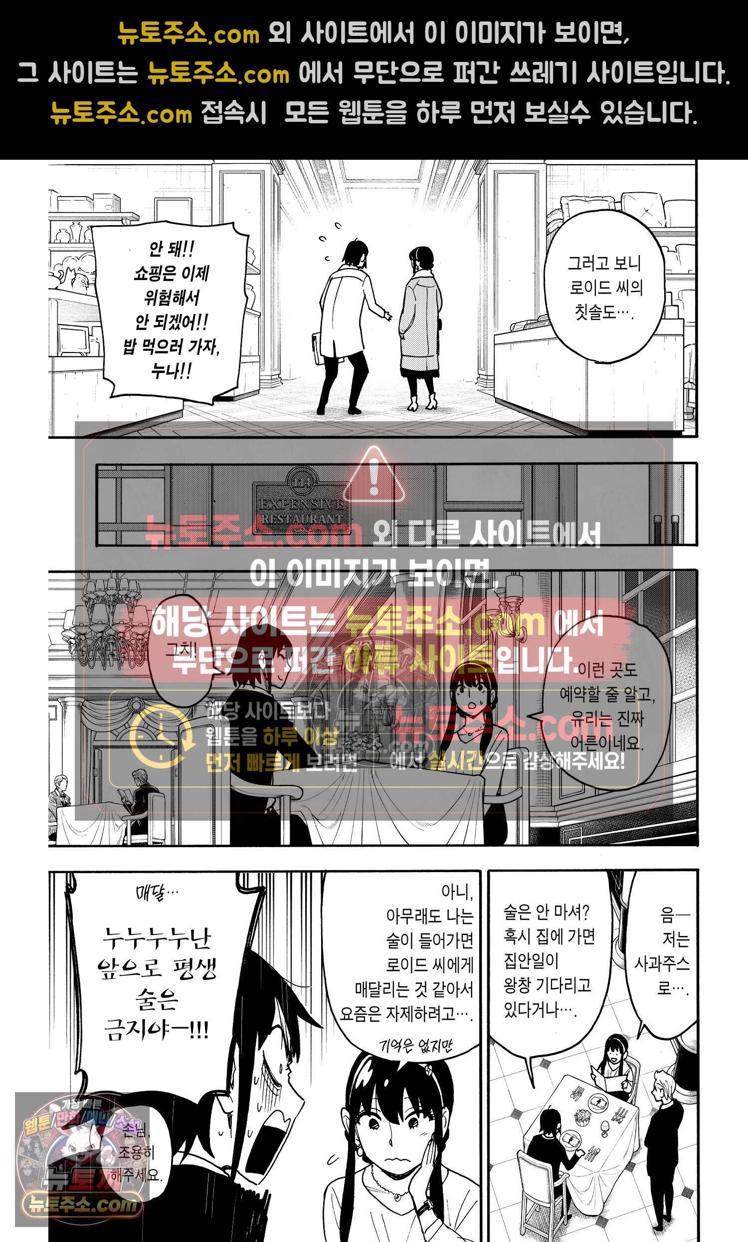 스파이 패밀리 MISSION : 114 8