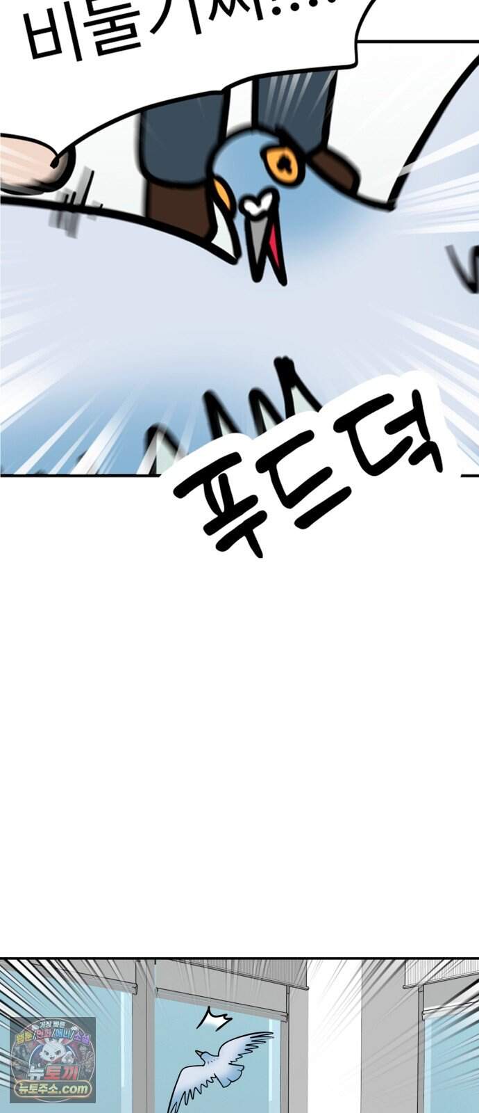 성북구 비둘기 이헌서 96화 3