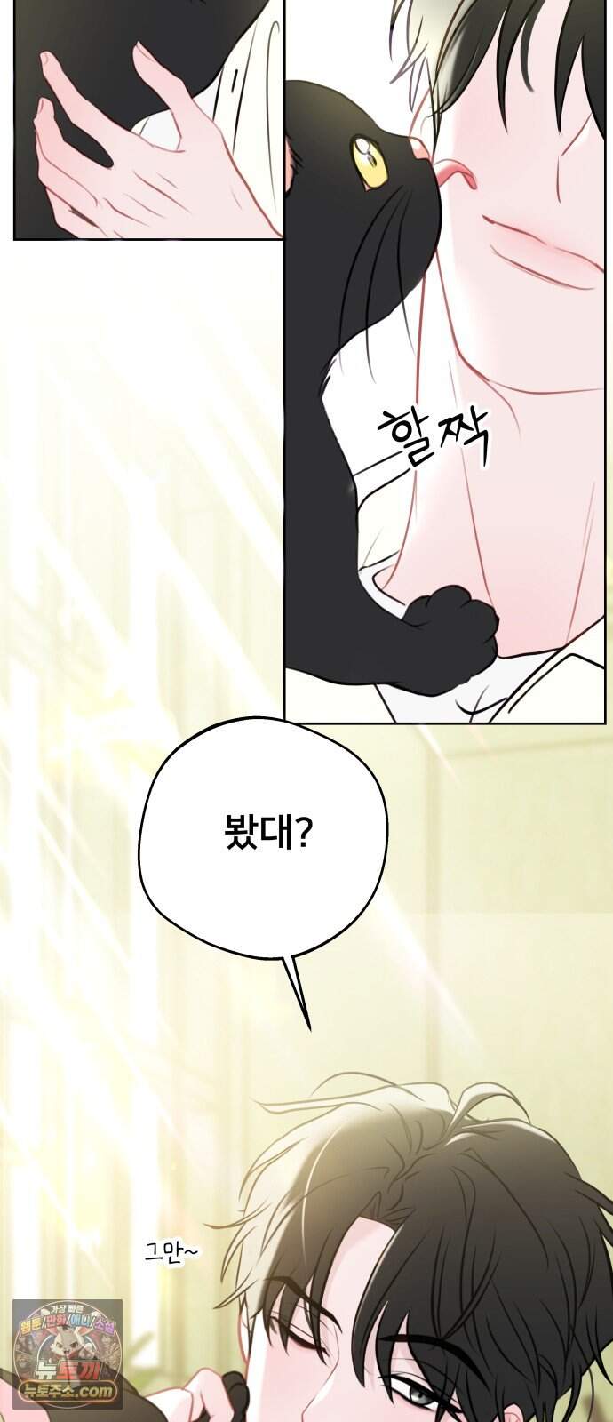 아주 사적인 영역 1화 16