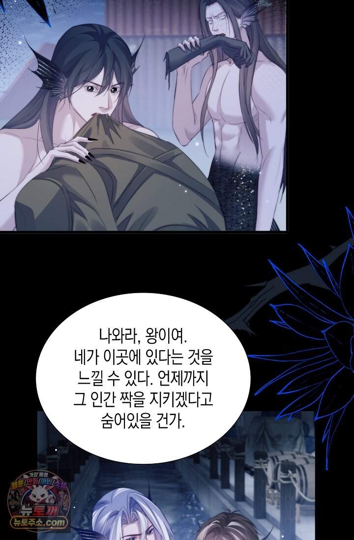 다니엘의 인어 146화 11
