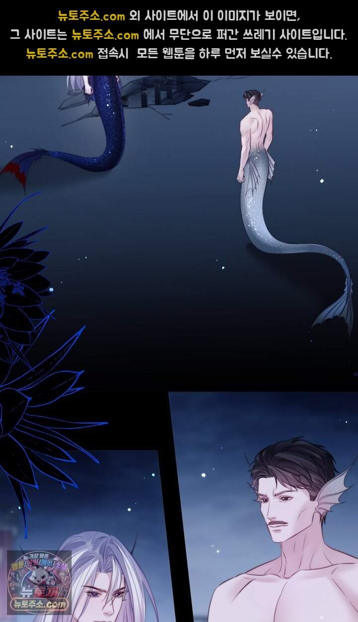 다니엘의 인어 146화 19