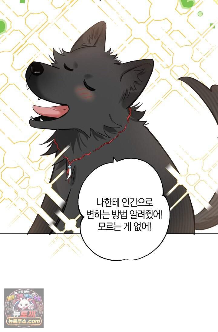 늑대가 날 책임지겠대 33화 15