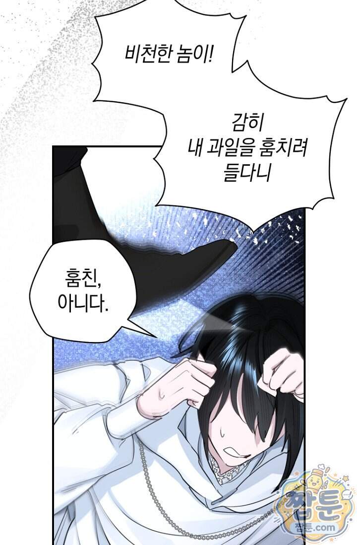 그 대공의 화려한 결혼은 사기 외전 1화 17