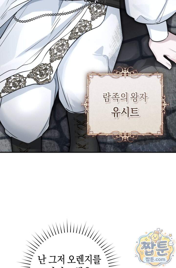 그 대공의 화려한 결혼은 사기 외전 1화 23