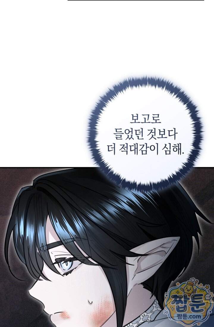 그 대공의 화려한 결혼은 사기 외전 1화 25