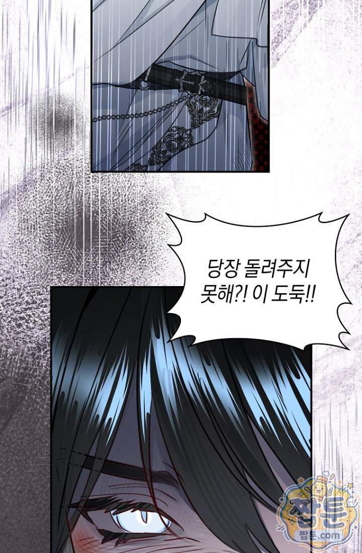 그 대공의 화려한 결혼은 사기 외전 1화 34