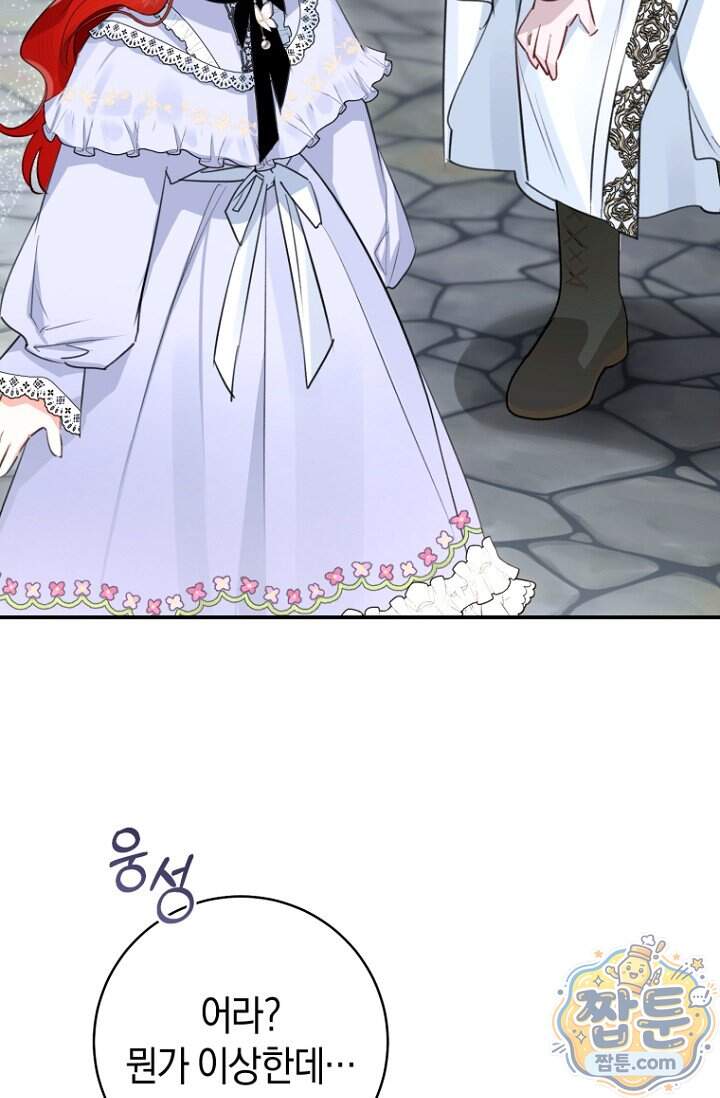 그 대공의 화려한 결혼은 사기 외전 1화 65