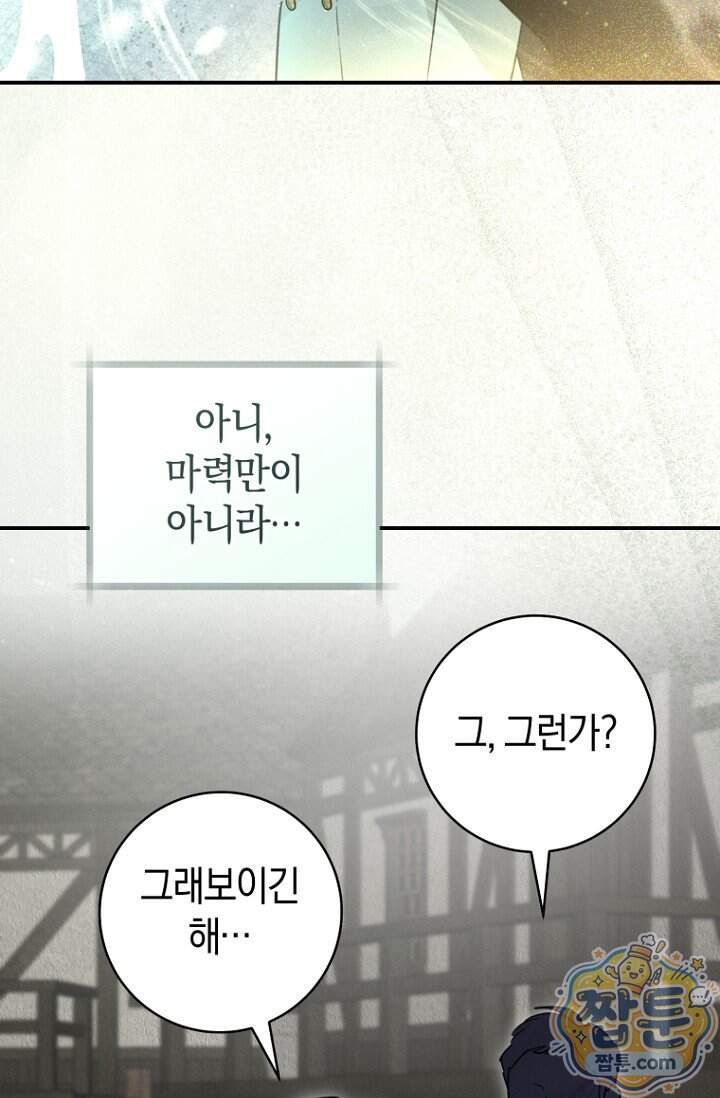 그 대공의 화려한 결혼은 사기 외전 1화 73