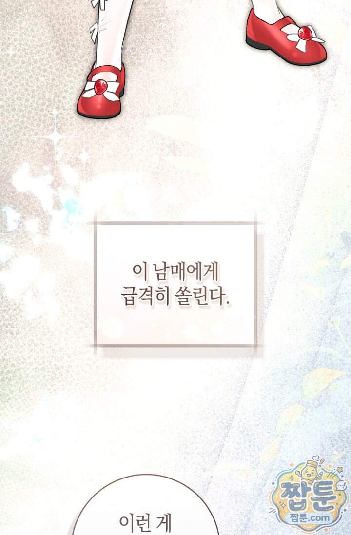 그 대공의 화려한 결혼은 사기 외전 1화 82