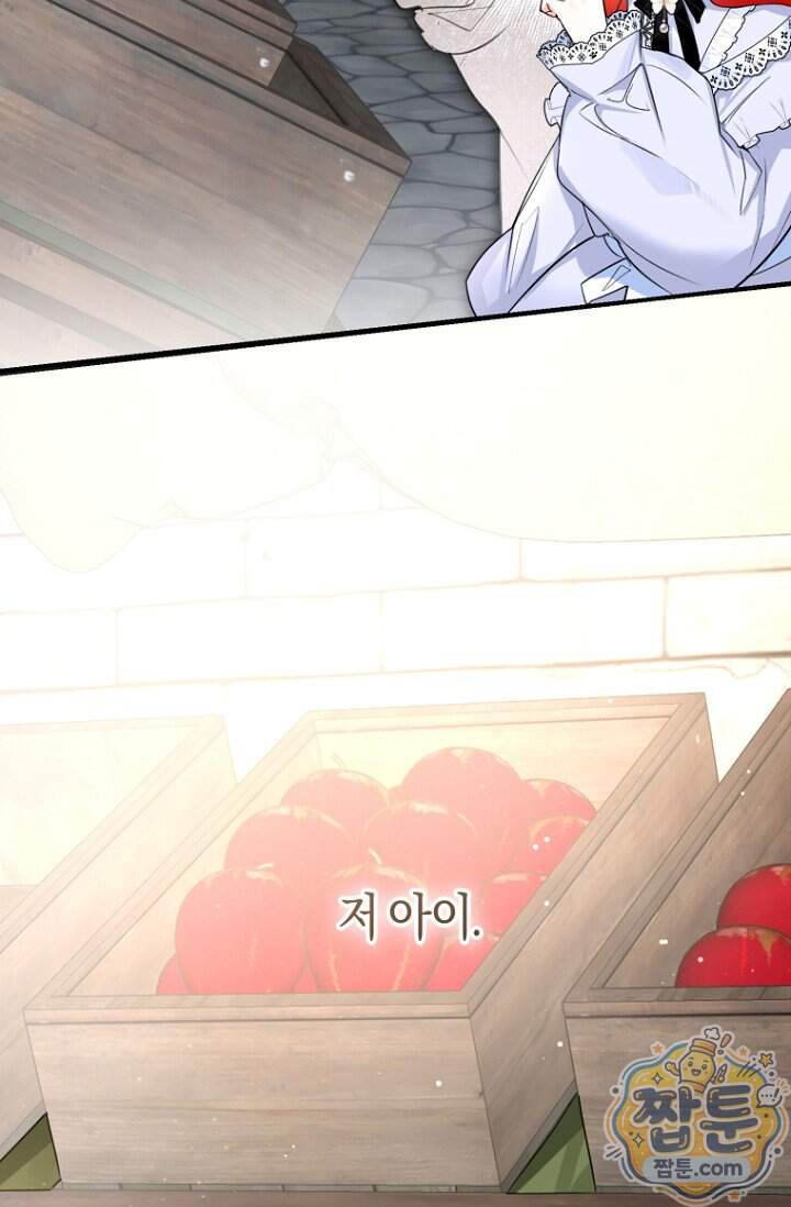 그 대공의 화려한 결혼은 사기 외전 1화 86