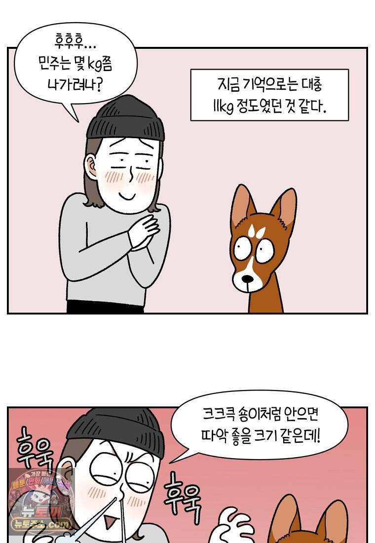 극한견주 시즌2 157화 나 안아 강아지 2
