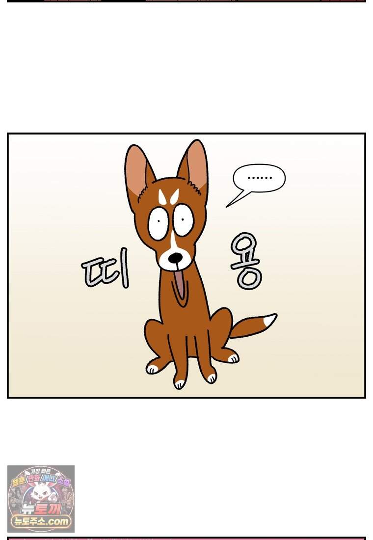 극한견주 시즌2 157화 나 안아 강아지 4