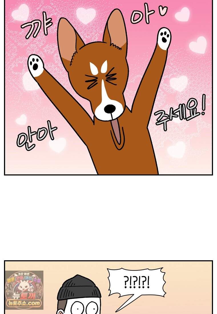 극한견주 시즌2 157화 나 안아 강아지 5