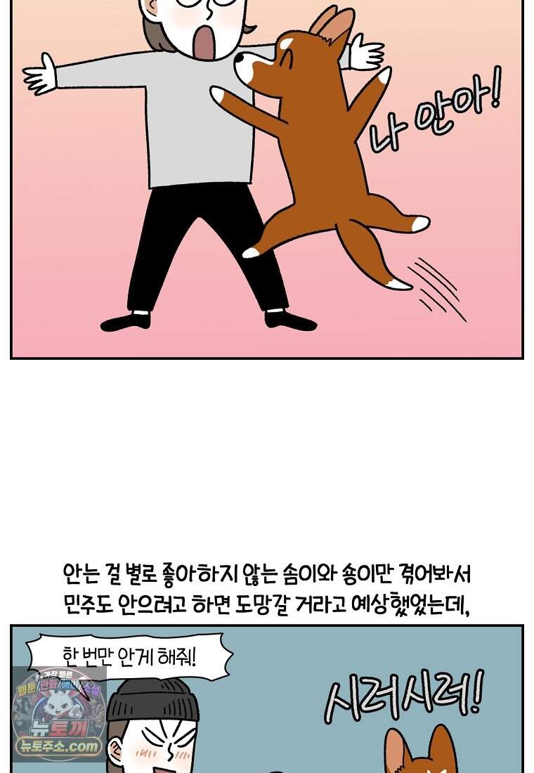 극한견주 시즌2 157화 나 안아 강아지 6