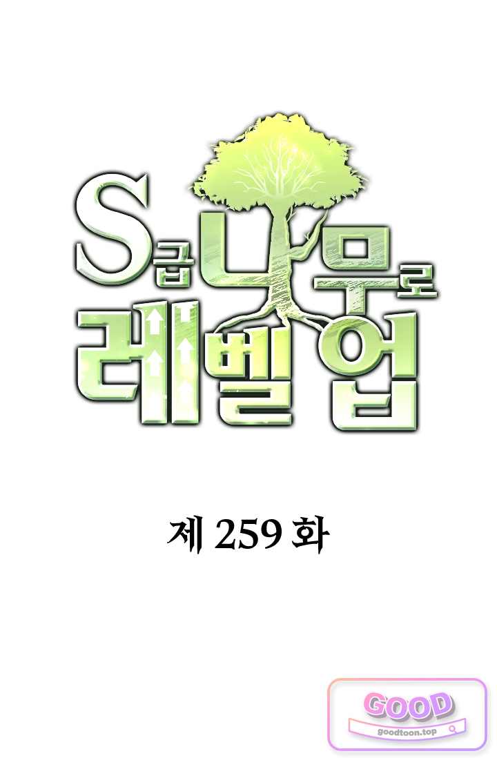S급 나무로 레벨업 259화 1