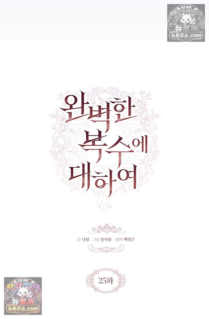 완벽한 복수에 대하여 25화 11