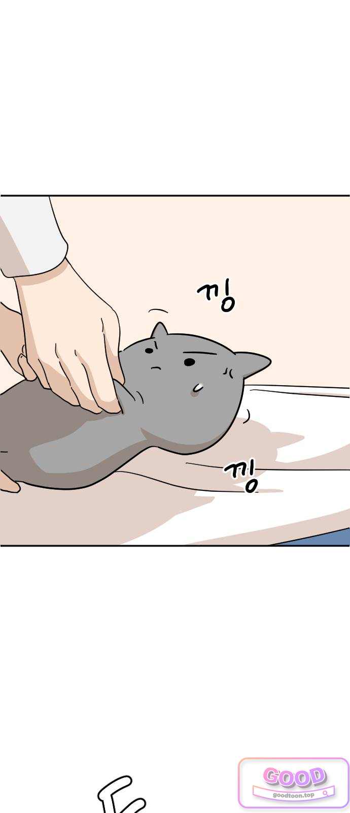오리짱! 50화 우리 집에 오기까지(9) 1