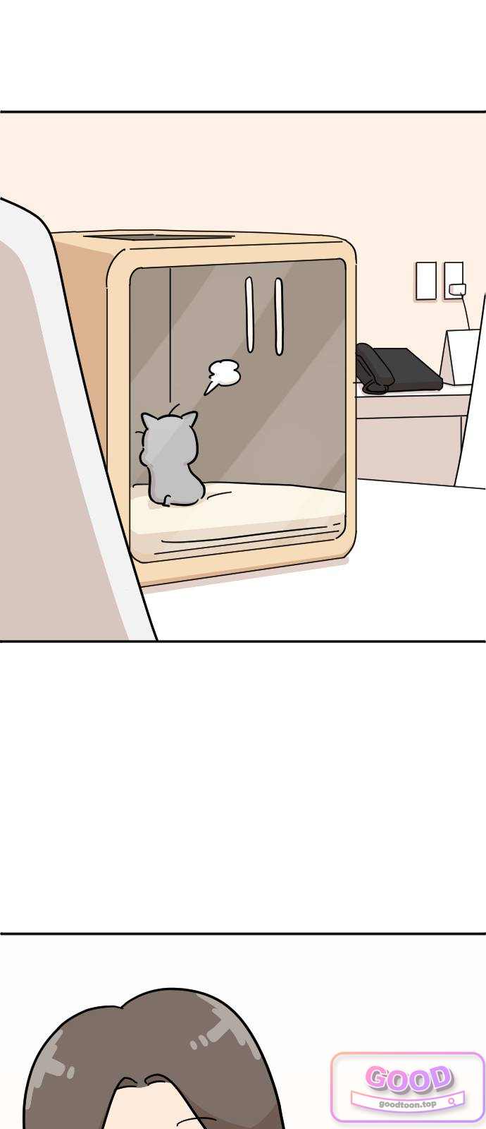 오리짱! 50화 우리 집에 오기까지(9) 6