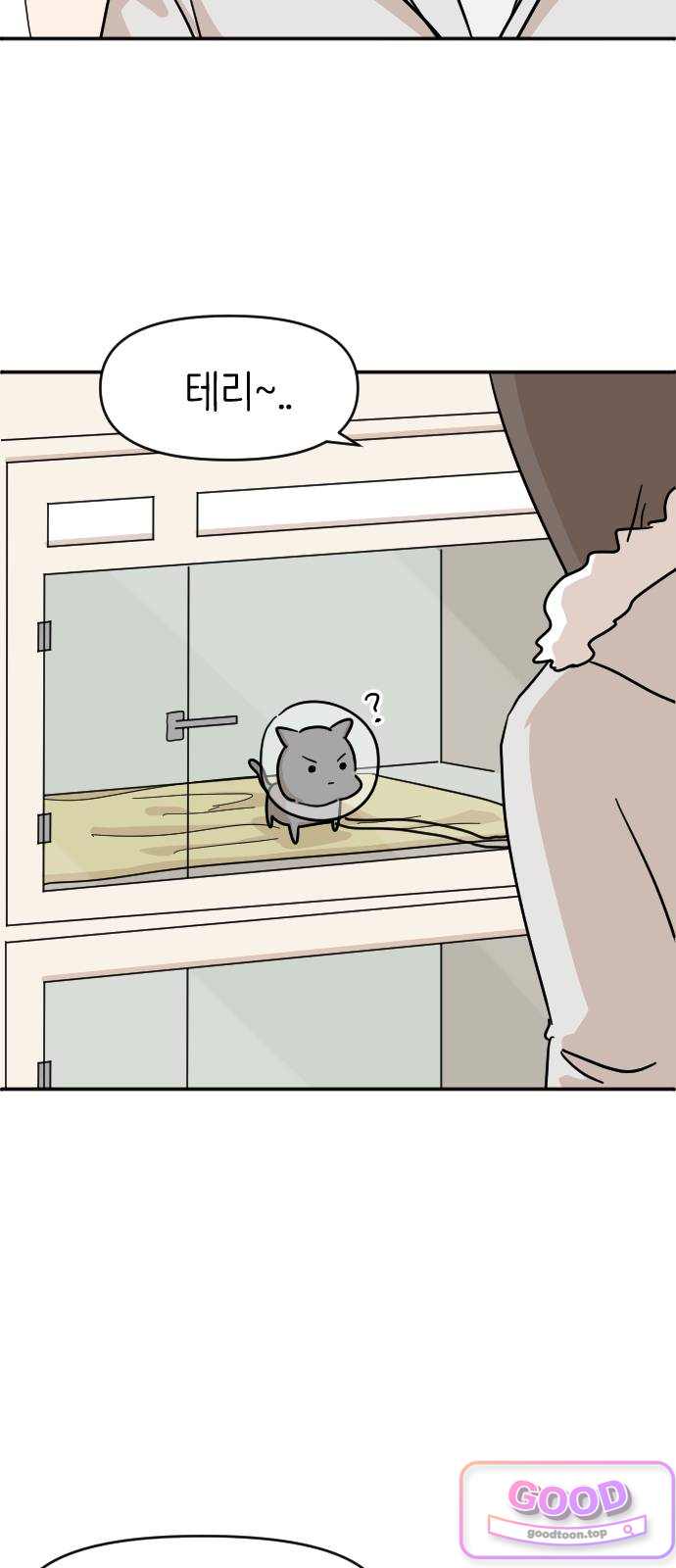 오리짱! 50화 우리 집에 오기까지(9) 11