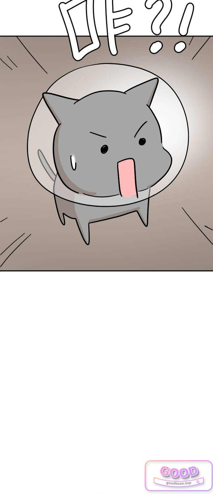 오리짱! 50화 우리 집에 오기까지(9) 13