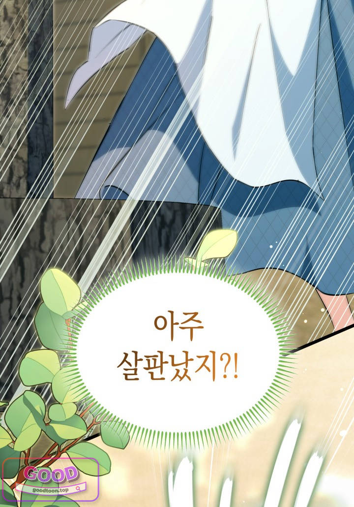 바이올렛 체로타의 졸속 결혼 2화 17