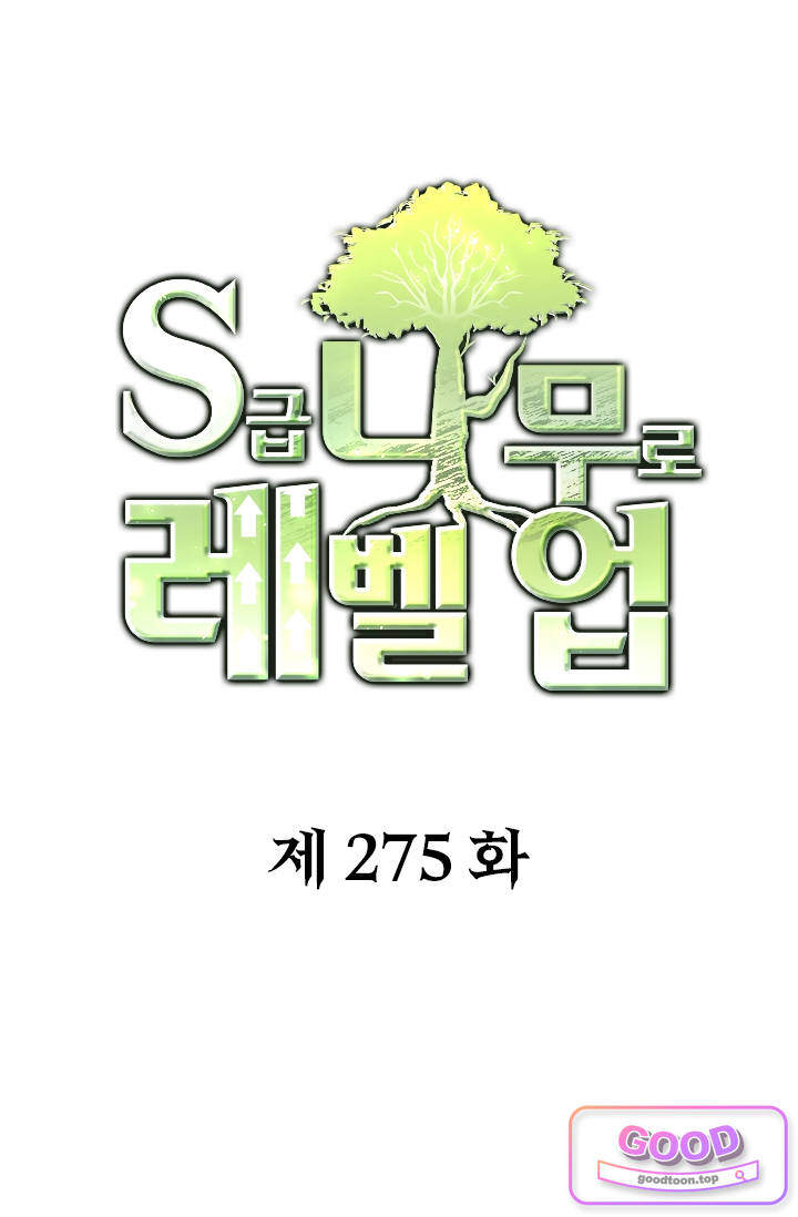 S급 나무로 레벨업 275화 1