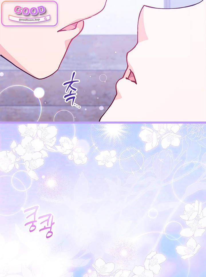 바이올렛 체로타의 졸속 결혼 12화 8