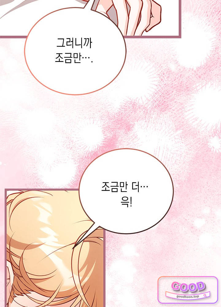 바이올렛 체로타의 졸속 결혼 29화 11