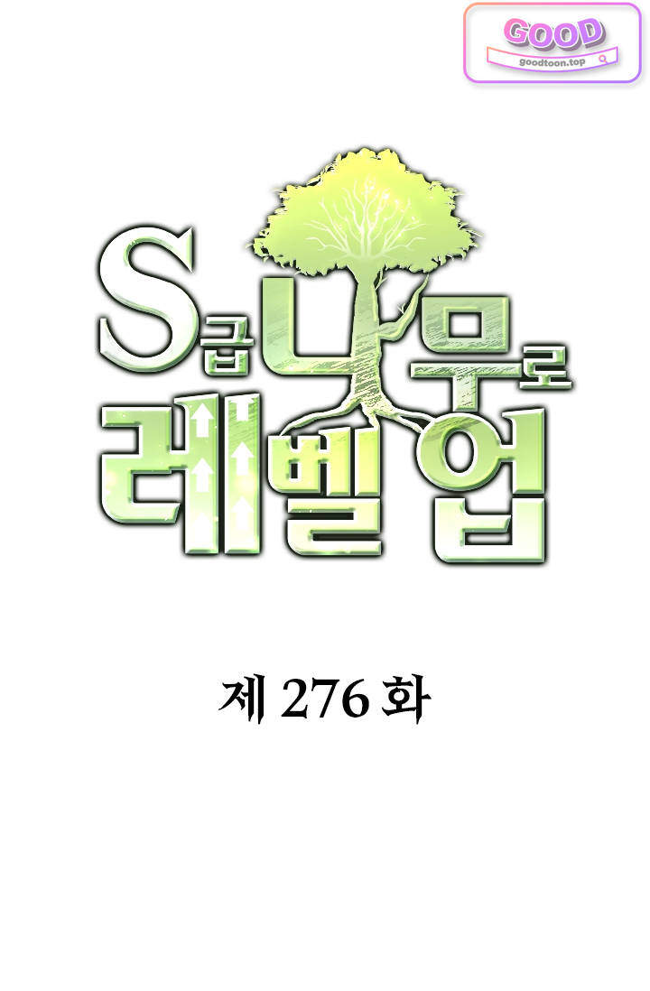 S급 나무로 레벨업 276화 1