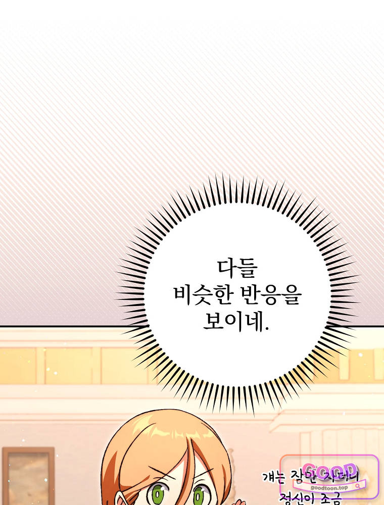 아카데미의 무기복제자 9화 21