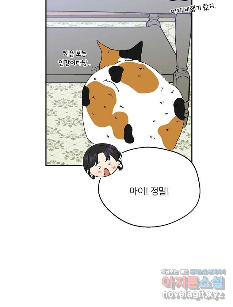 청춘귀촌보고서 56화 심란한 미로씨 13