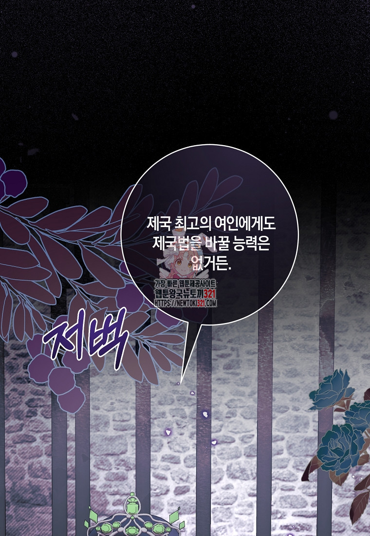 엔젤릭 레이디 168화 1